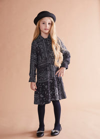 PORTER PAISLEY PRINT BUTTONDOWN  DRESS