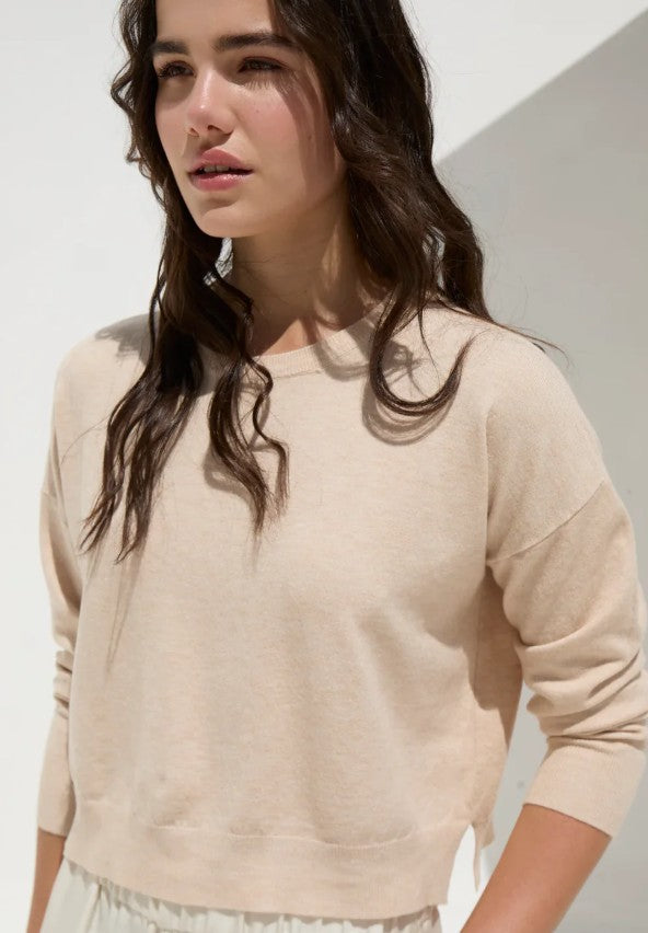 DELUC BASIC SOFT SIDE CUT TOP