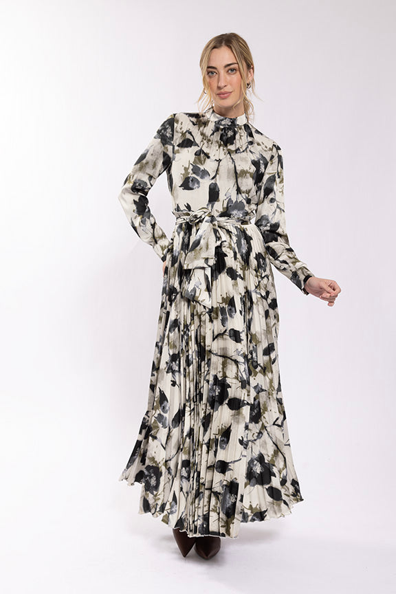Maple & Cliff Pleated Bottom Printed Dress